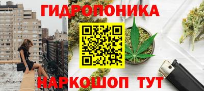 амф Ливны