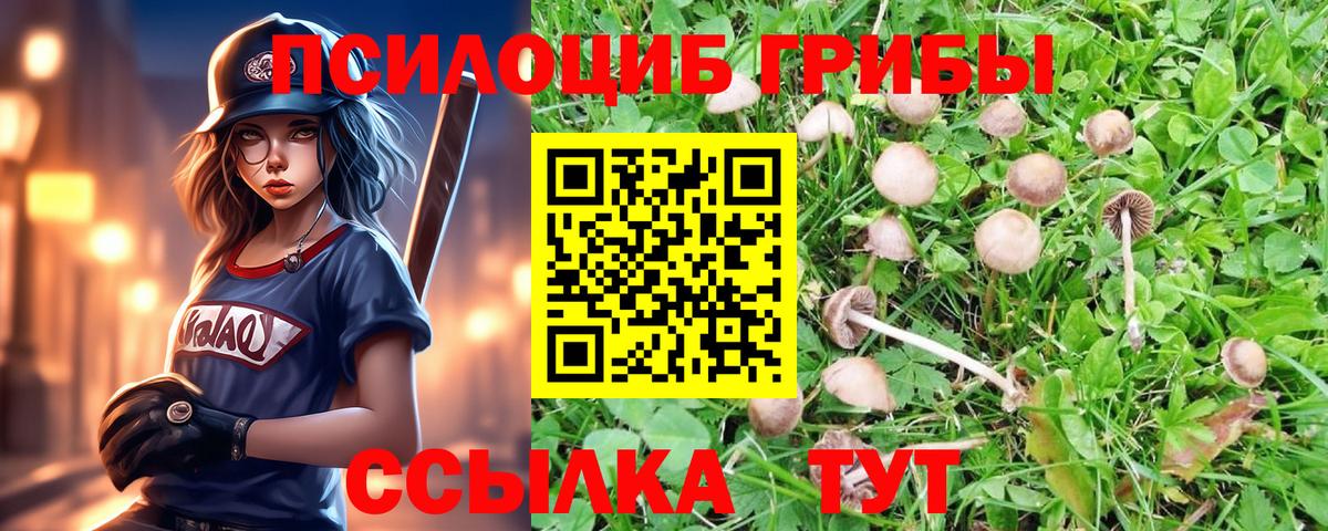 Зерноград  Галлюциногенные грибы GOLDEN TEACHER  Вход с VPN 