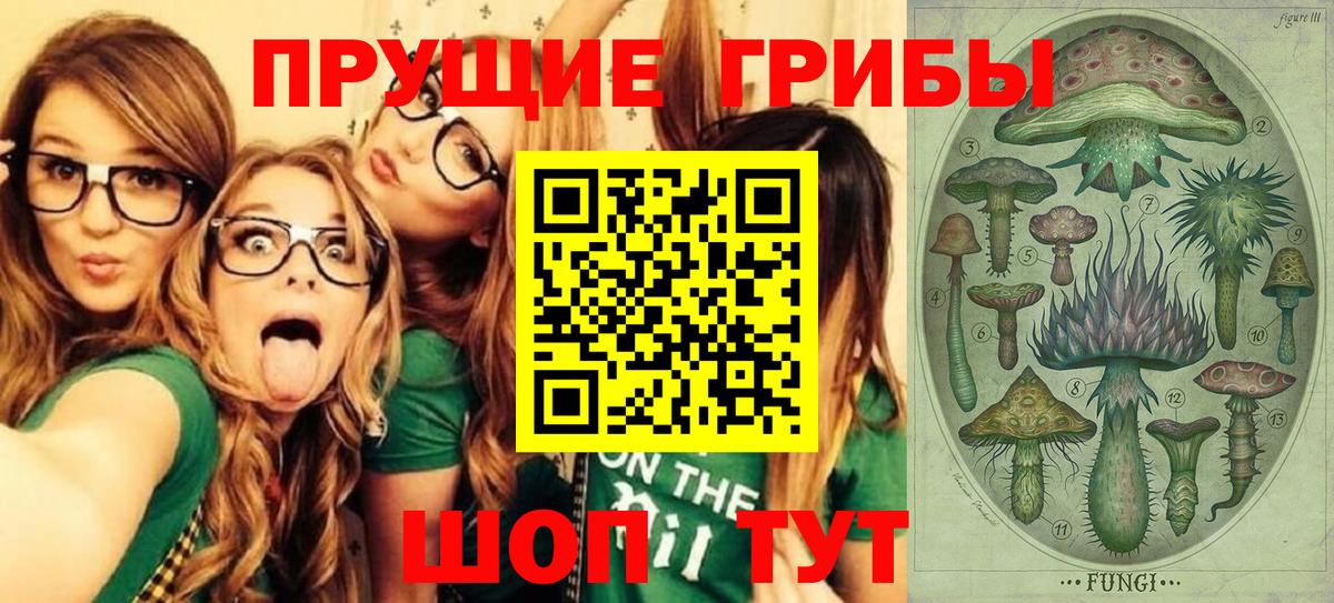 Галлюциногенные грибы Psilocybine cubensis Зерноград